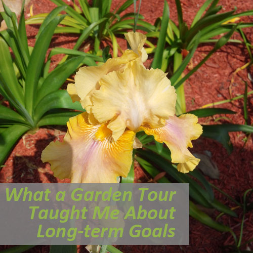 What a Garden Tour Taught Me About Long-term Goals