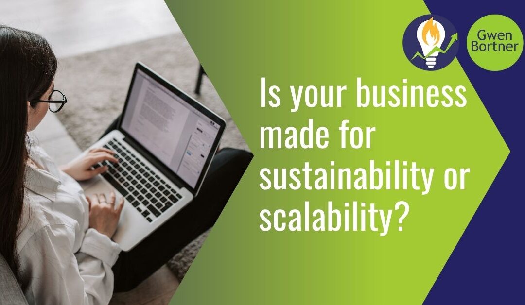 Is your business made for sustainability or scalability blog graphic